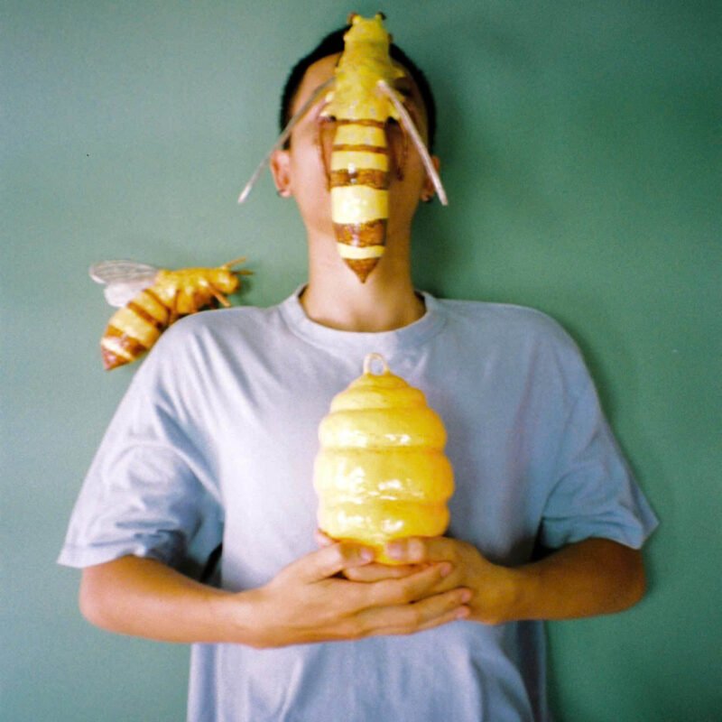 Vu Hoang