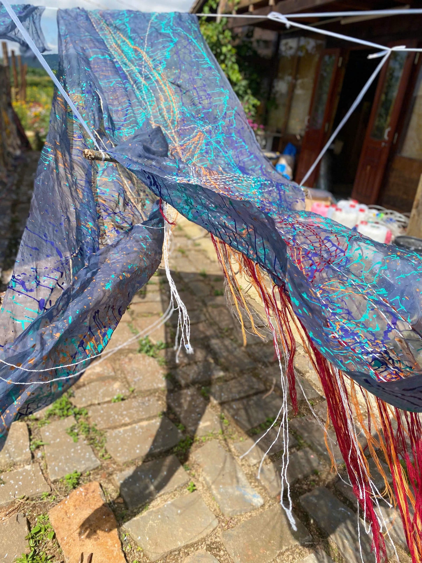 New collector guide with Thu Tran art